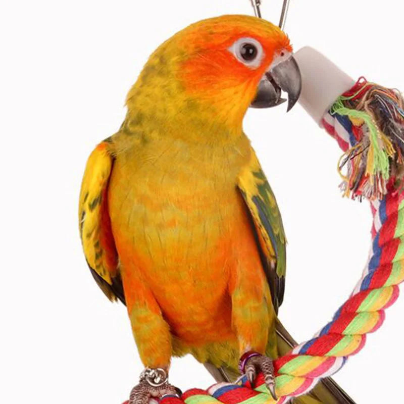 Vogelschommel gevlochten katoen – 50 cm kauwspeeltje voor kooi