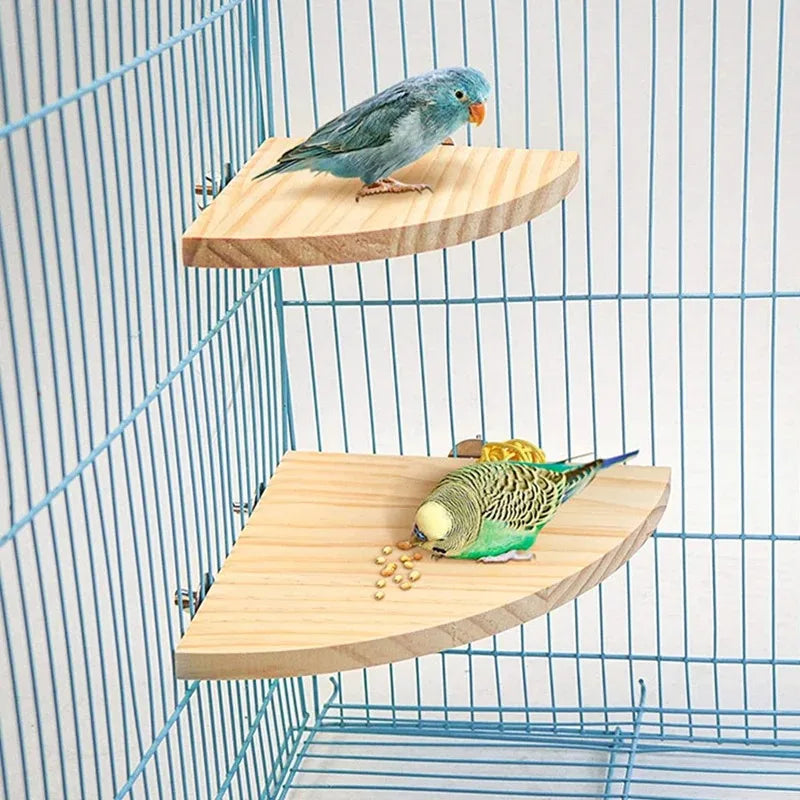 Papegaaienzitstok standaard hout – natuurlijk, waaiervorm