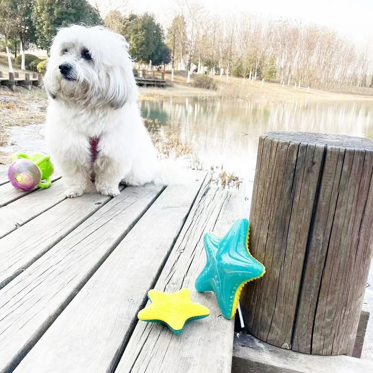 FrostyGlow Honden Speelgoed – Lichtgevend, Bevriesbaar en Drijvend Rubberen Speeltje voor Zomerplezier