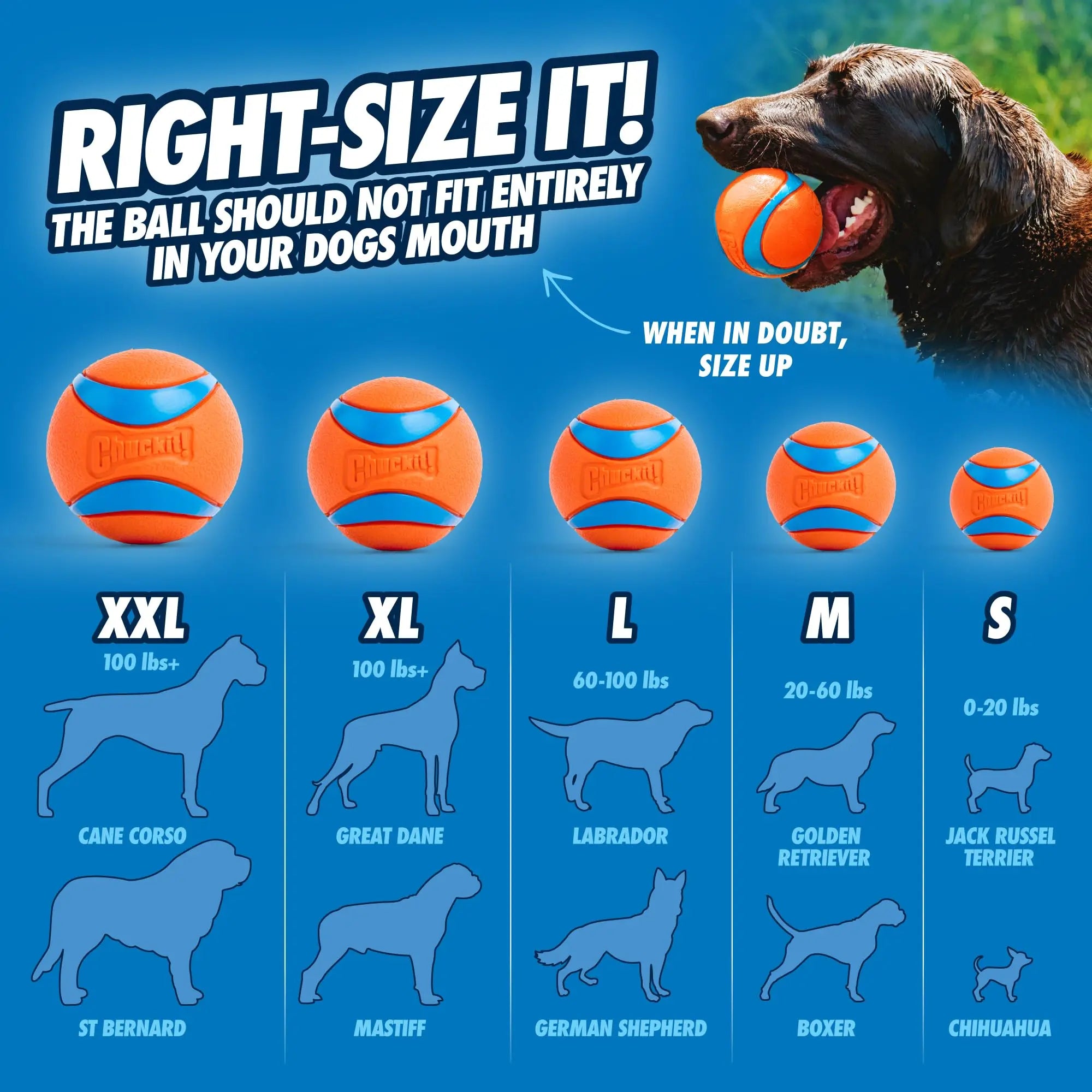 Chuckit UltraBounce Speelbal – Kleine Stuiterbal voor Honden