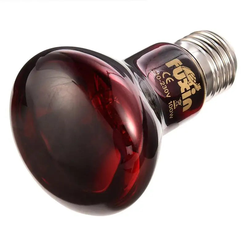 Amfibie-isolatie verwarmingslamp