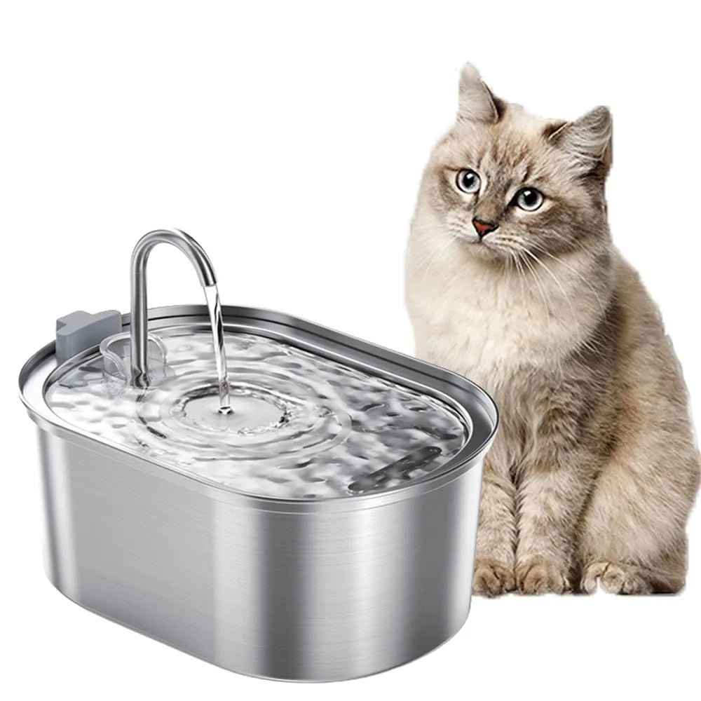 Slimme kattenwaterfontein