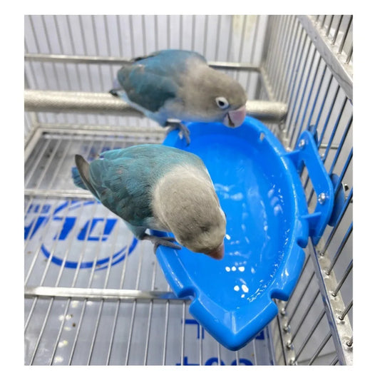 Vogelbad kunststof tijgerprint – Dubbelzijdige papegaaienbad & voerbak