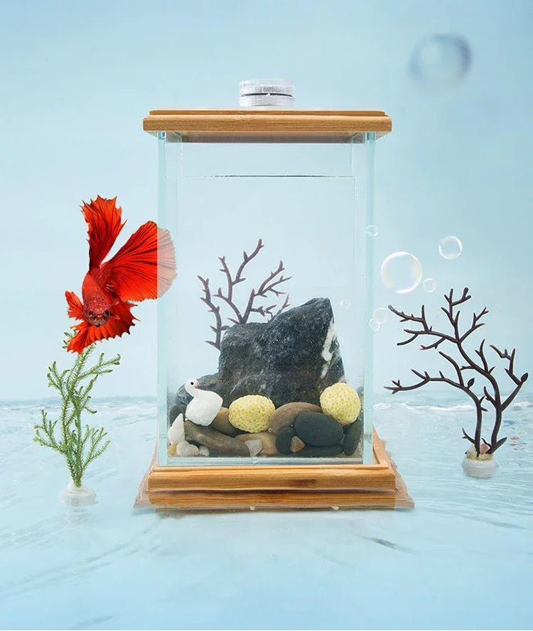 AquaGlow LED Cilindrisch Mini Aquarium