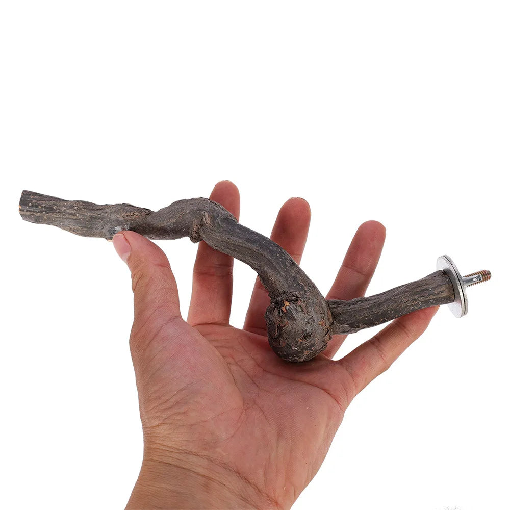 Papegaaien zitstok druivenhout – natuurlijk, kauwbaar, 100% veilig