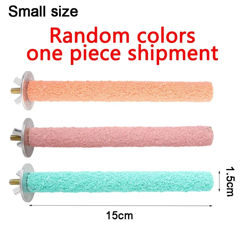 Willekeurige kleuren papegaaienzitstok