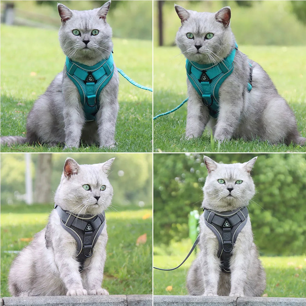 PawSecure Harnas & Lijn Set