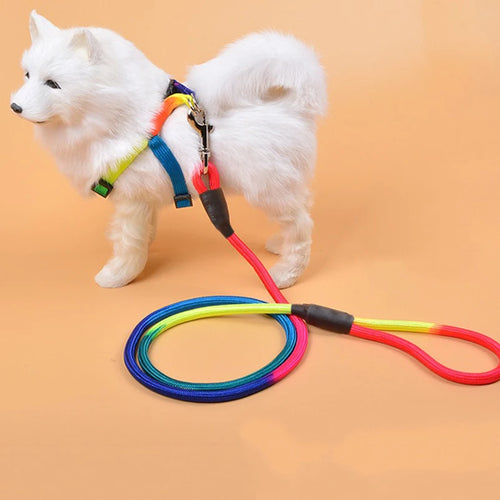 ColorTrail Nylon Ronde Hondenriem