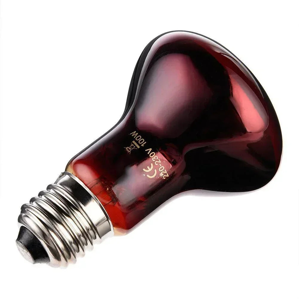 220V Infrarood Verwarmingslamp