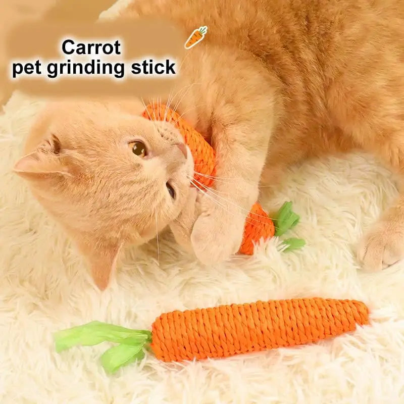 Kattenspeelgoed
