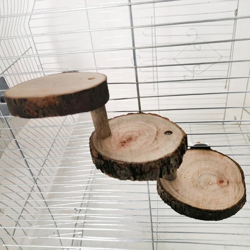 Hamster Houten Klimladder