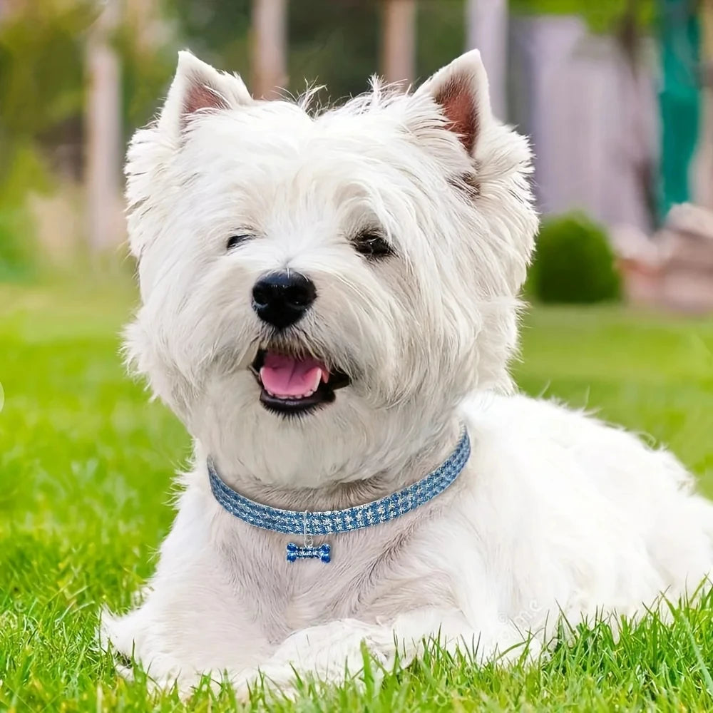 GlamBone Luxe Honden- & Kattenhalsband