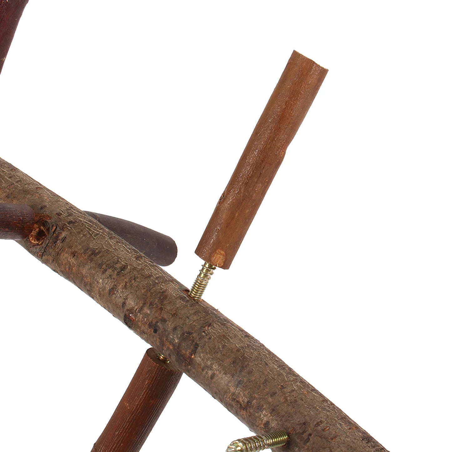 Papegaaienzitstok hout – natuurlijk vogelzitje met takken