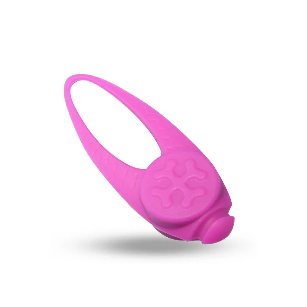 LuminousSafe LED Siliconen Hondenhanger – Veiligheidslicht voor Halsband