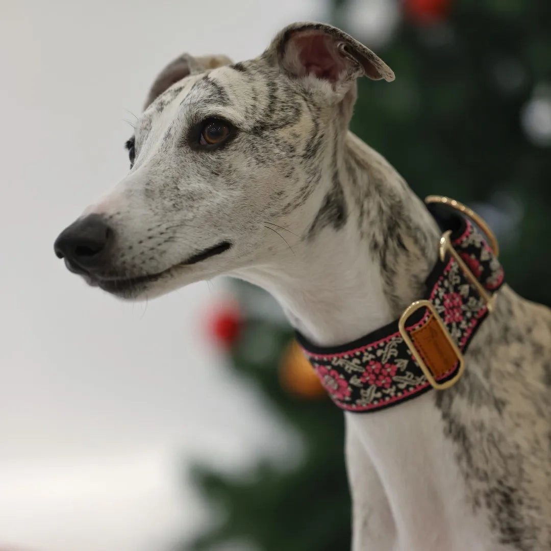 SwiftGent Martingale Halsband