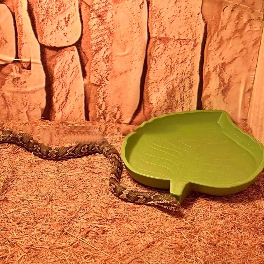 EcoTera Natuurlijke Terrarium Bodemmat