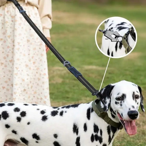 Reflecterende Bungee Hondenriem Nylon  – Voor Grote Honden Zwart