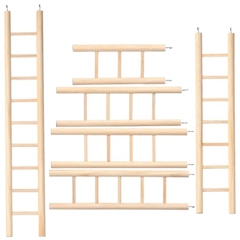 Kaketoe klimt trapladder