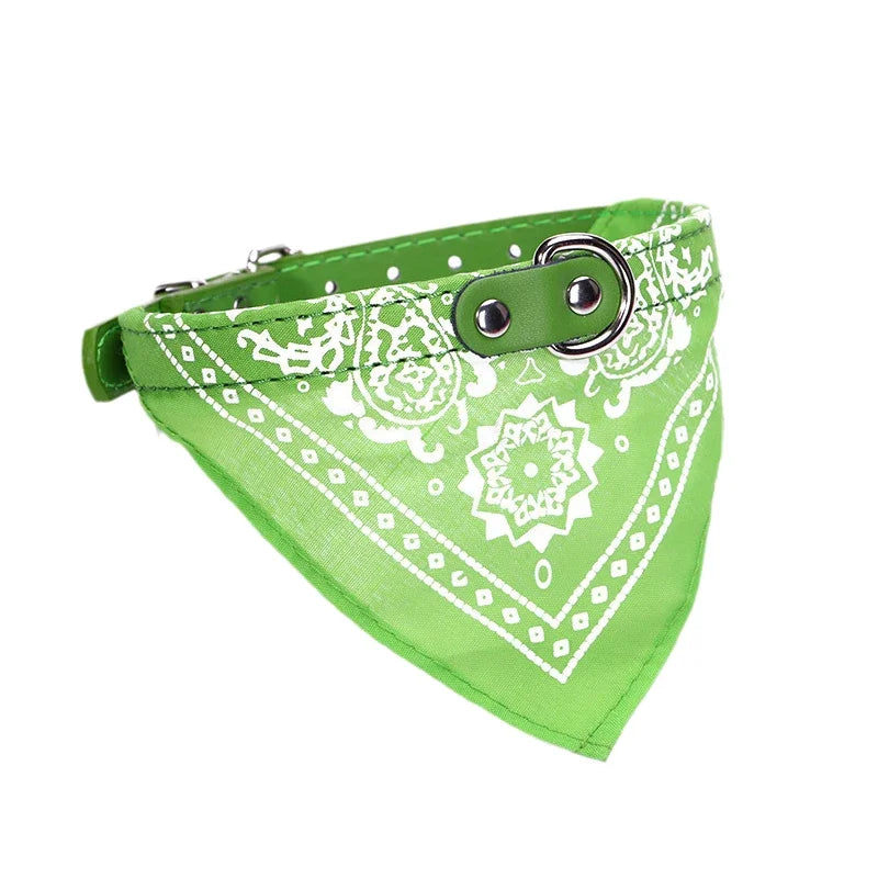 STYLPET PU Halsband met Sjaaltje