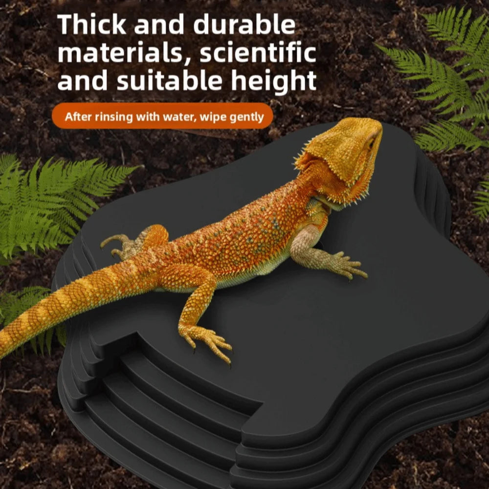 AquaStep Dubbelzijdige Schildpad Water- & Voerbak