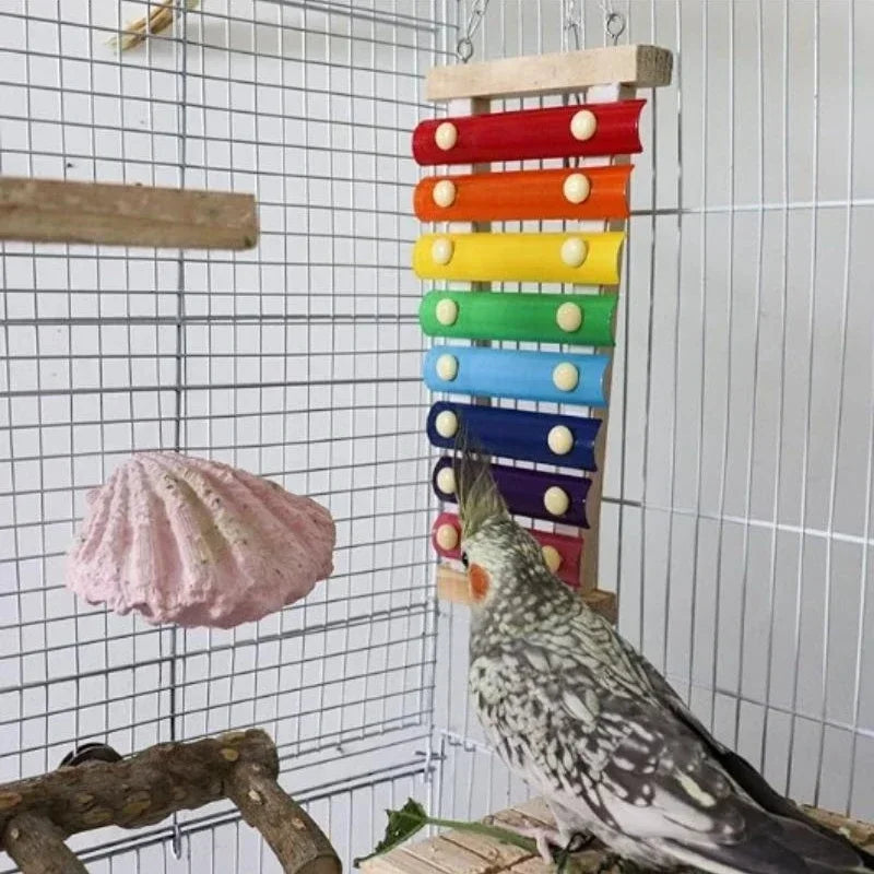 Vogelxylofoon speelgoed hout & metaal – kleurrijk kip- en parkietspeelgoed
