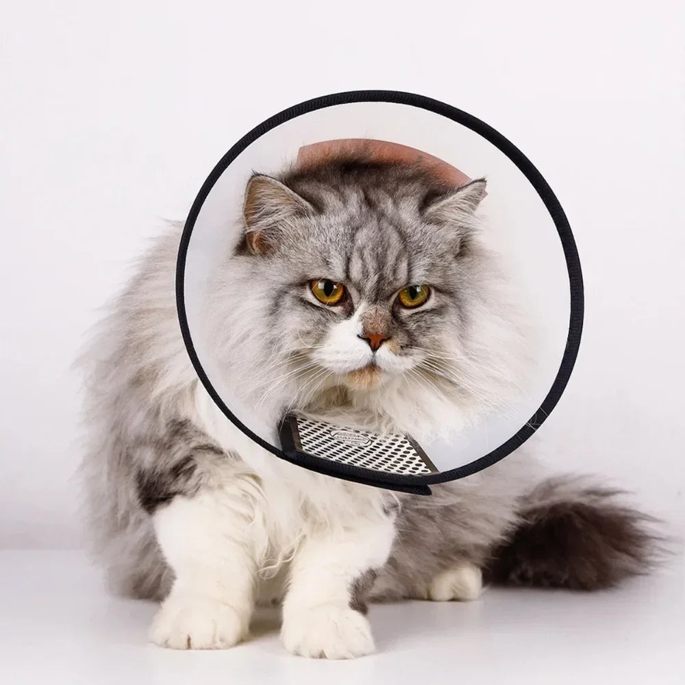 HealGuard ComfyCone Beschermkraag