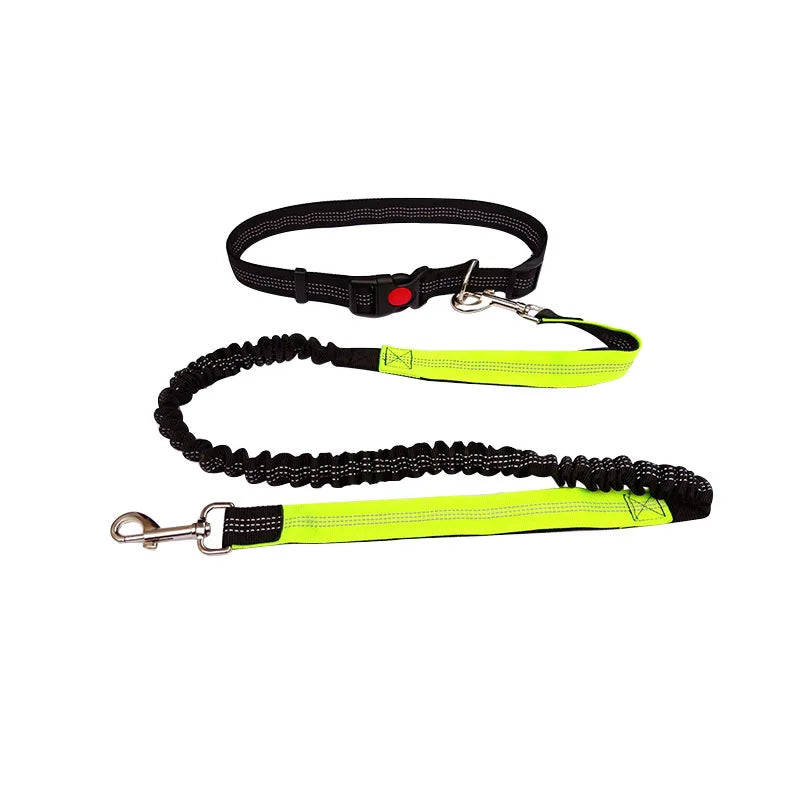 Handsfree Hondenriem met Heupgordel – Verstelbare Polyester Riem