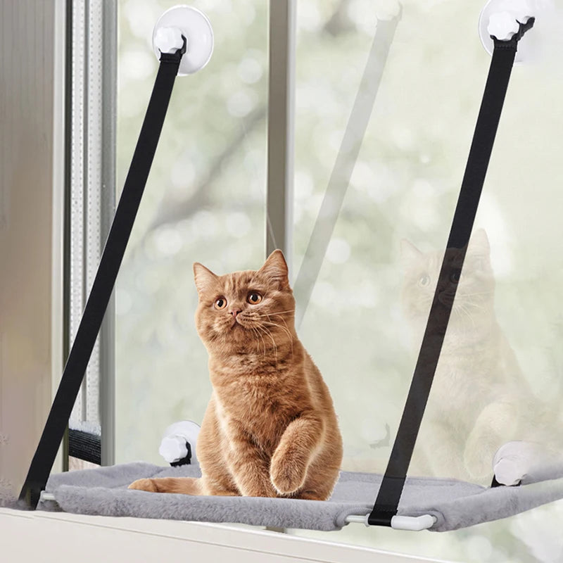 Winter Warme Kattenophanging