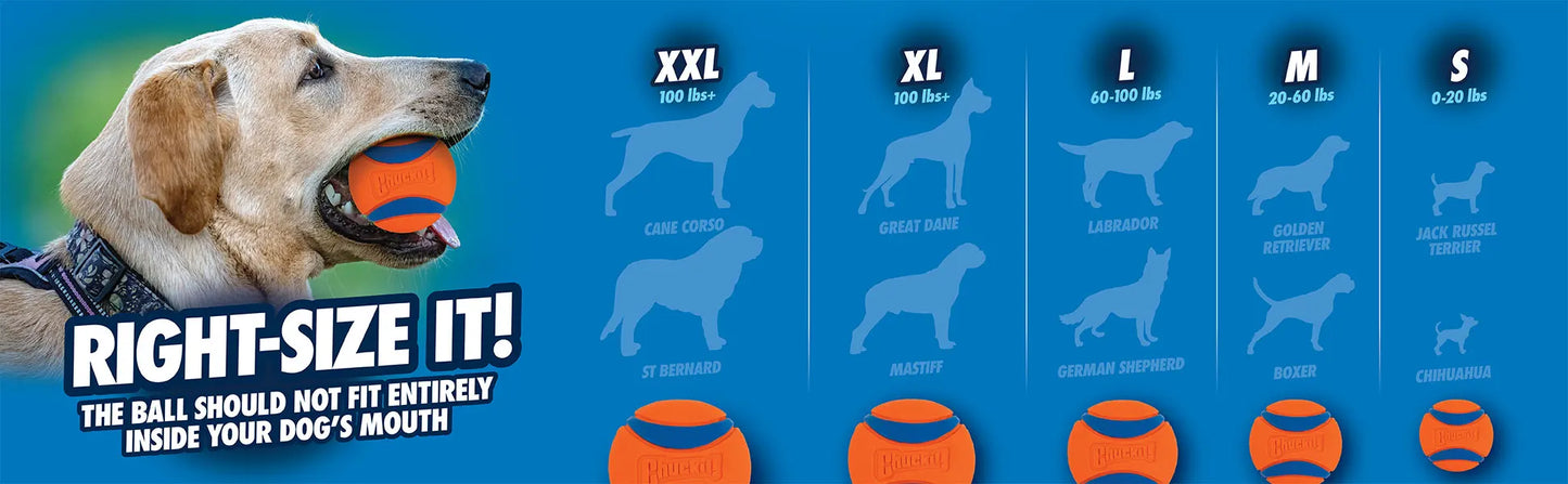 Chuckit UltraBounce Speelbal – Kleine Stuiterbal voor Honden