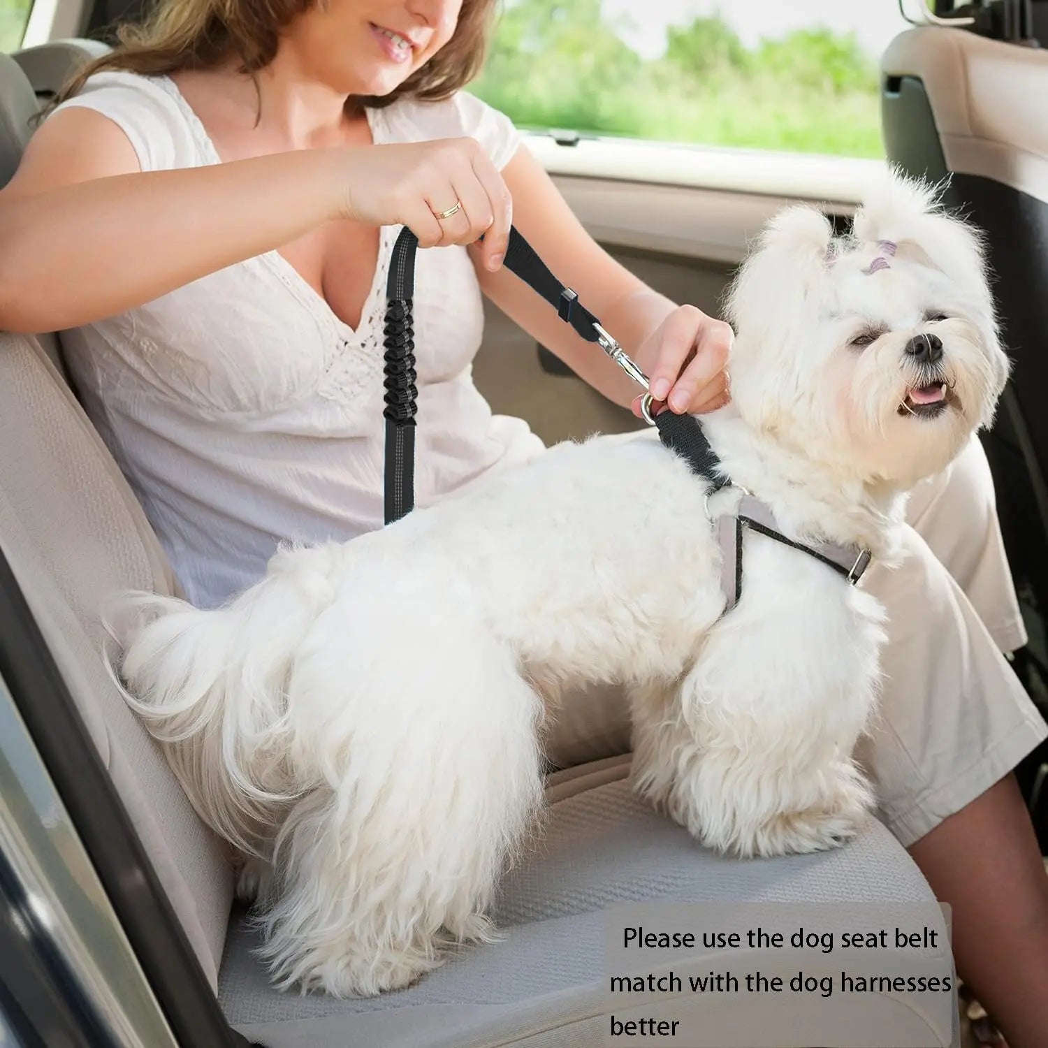 Aanpasbare Autogordel voor Honden