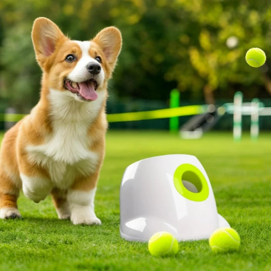 Automatische Hond Ballenwerper – Interactief Speelgoed