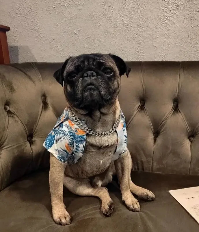 GlamPaw Diamond Cuban Link Halsband