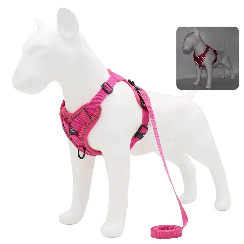 PawSecure Harnas & Lijn Set