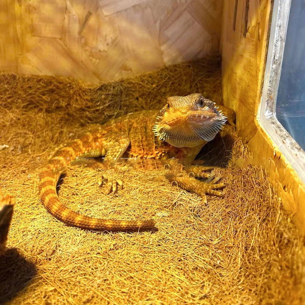 EcoTera Natuurlijke Terrarium Bodemmat