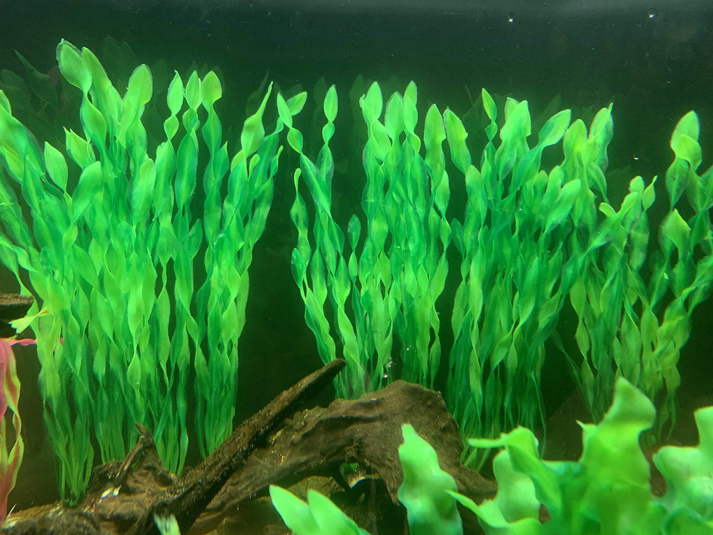 AquaVivid Kunstmatige Aquarium Waterplanten