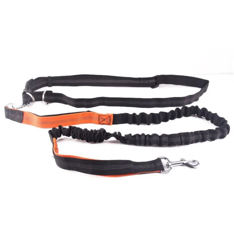 Handsfree Hondenriem met Heupgordel – Verstelbare Polyester Riem