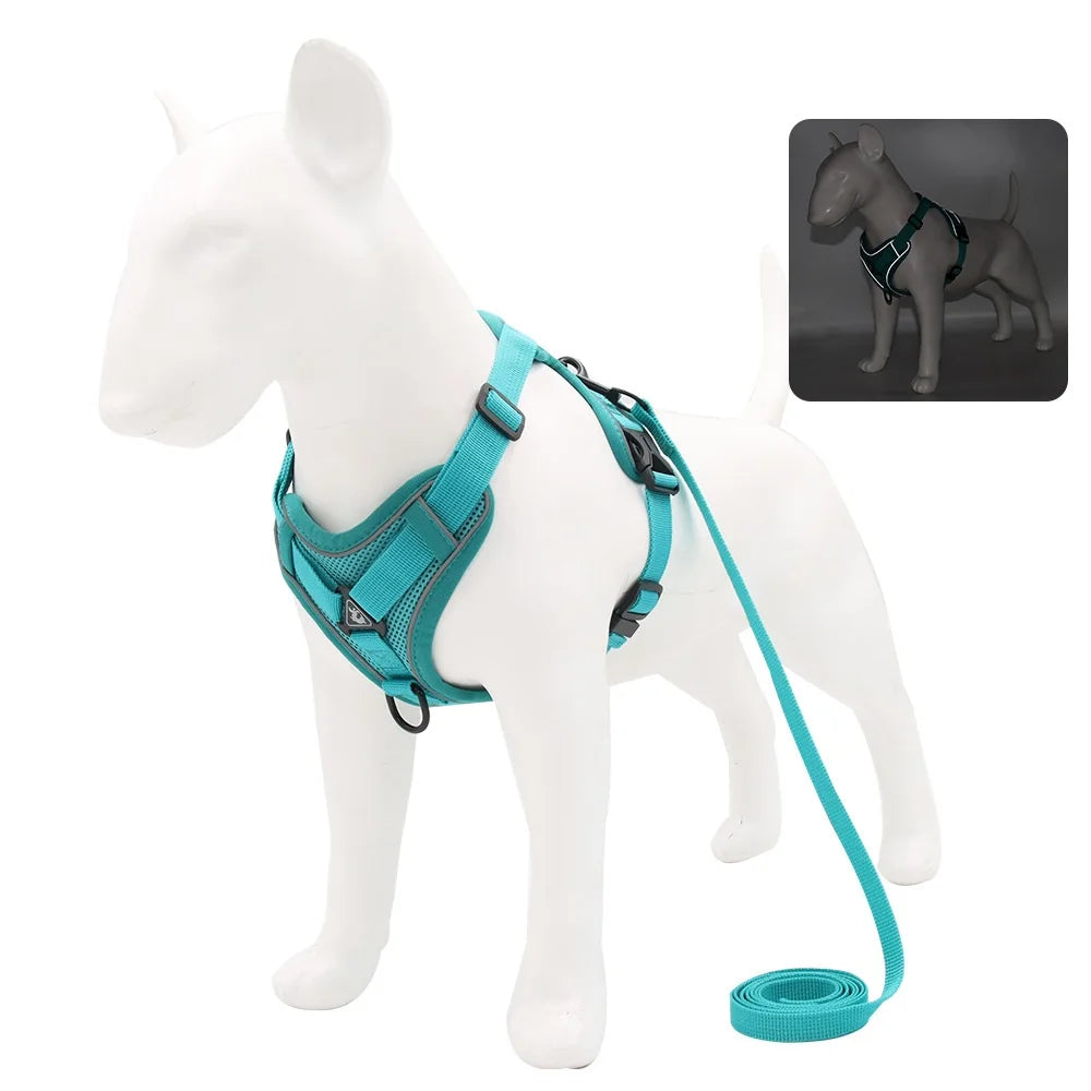 PawSecure Harnas & Lijn Set