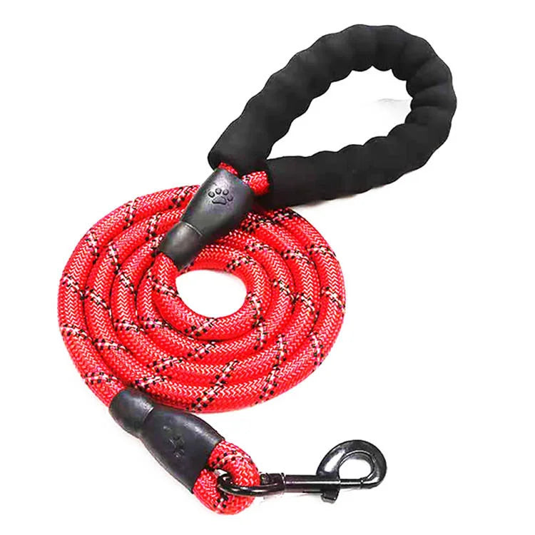 SafeWalk Reflecterende Nylon Hondenriem