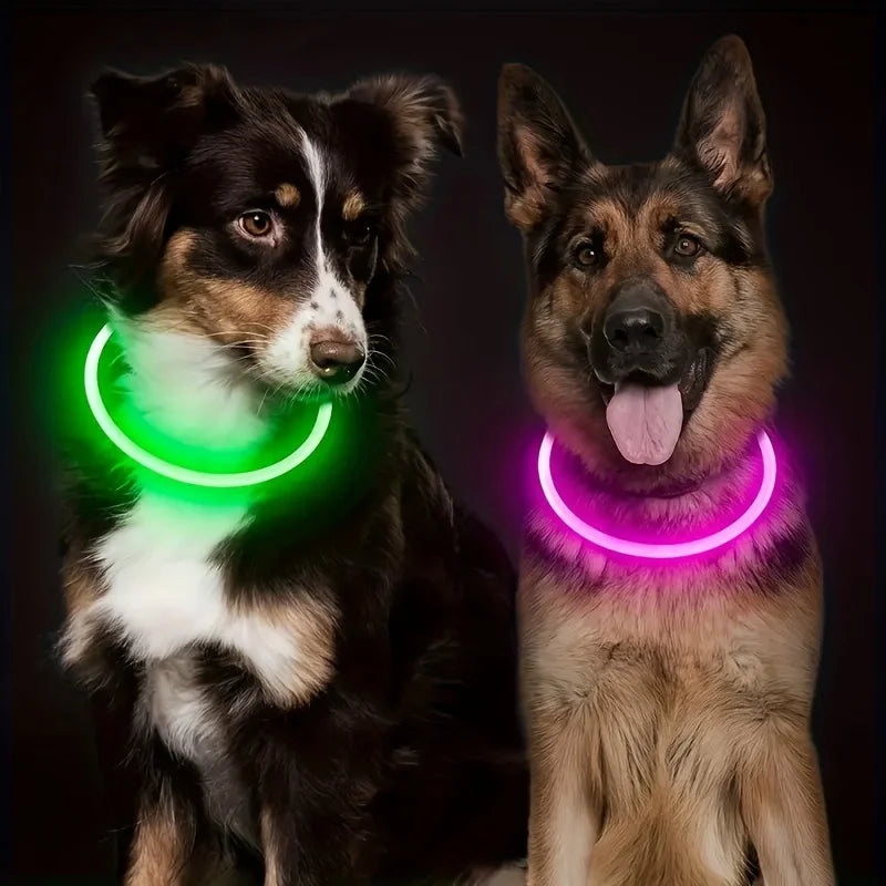 GlowGuard LED Veiligheidshalsband voor Honden – USB Oplaadbaar & Reflecterend