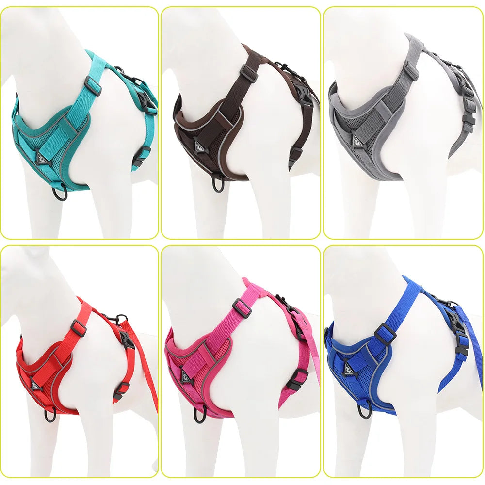 PawSecure Harnas & Lijn Set