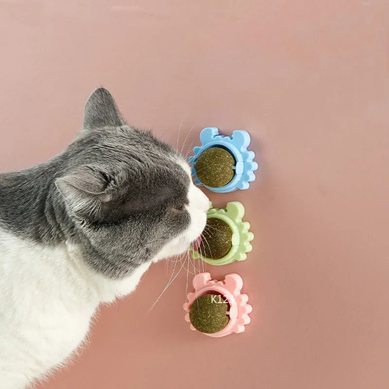 CatVita LickBall – Kattenkruid Lik- & Snackbal voor Tandverzorging en Gezonde Spijsvertering