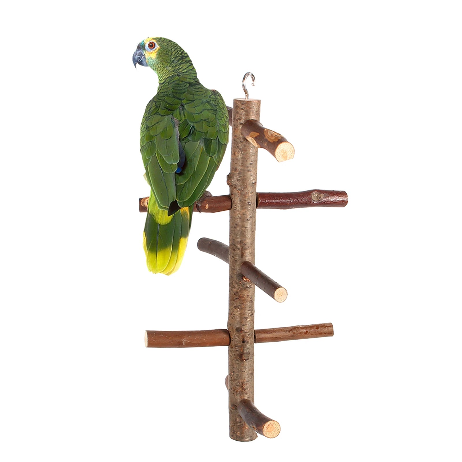 Natuurlijk houten papegaaienzitstok speelgoed