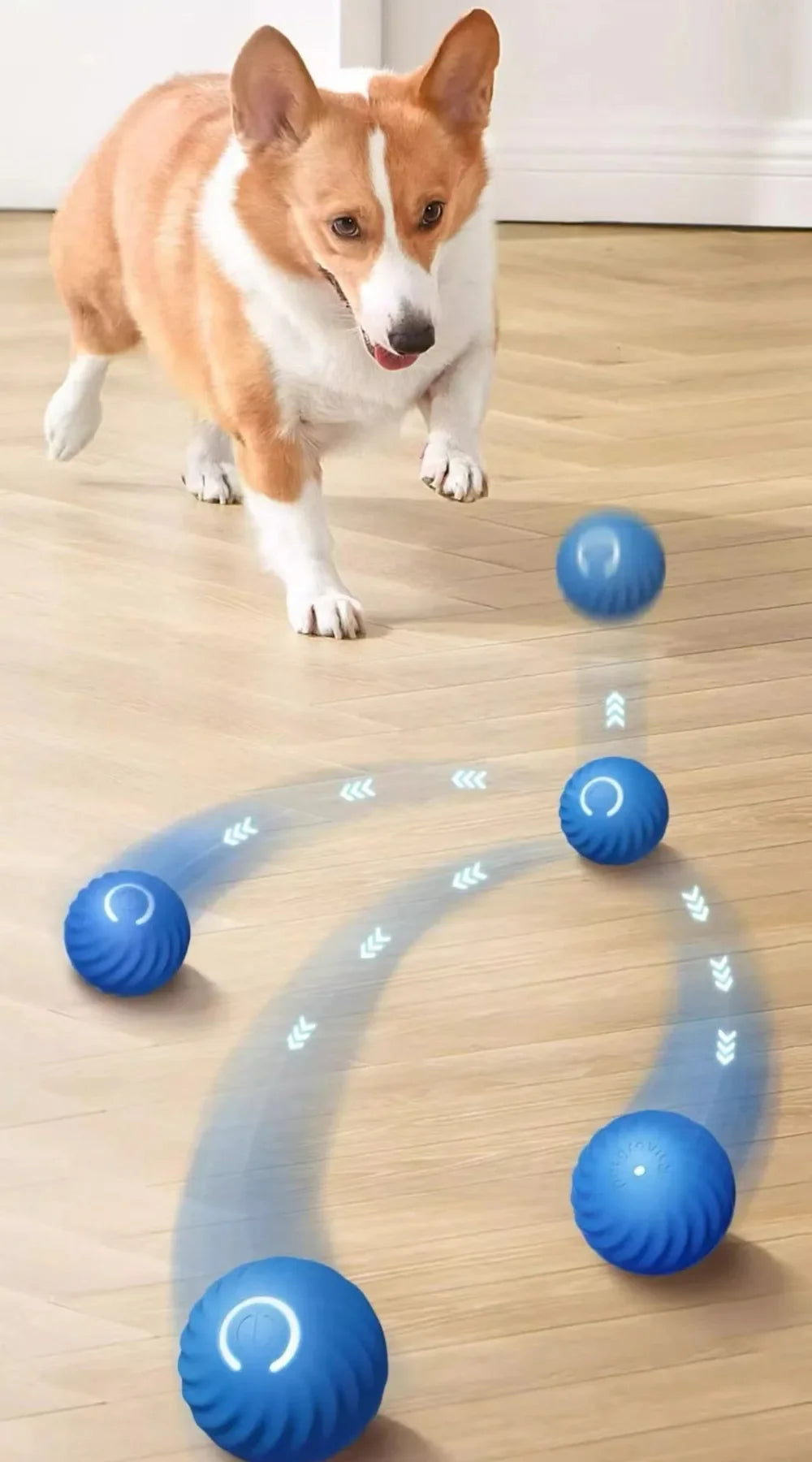 JumpiBall – Intelligente Springbal voor Honden
