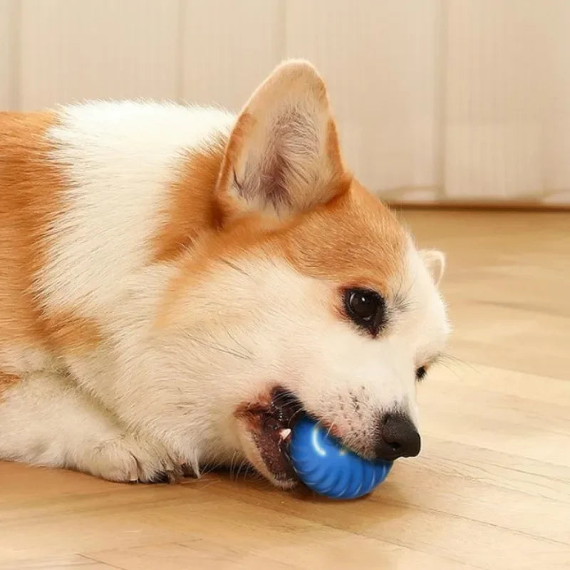 JumpiBall – Intelligente Springbal voor Honden