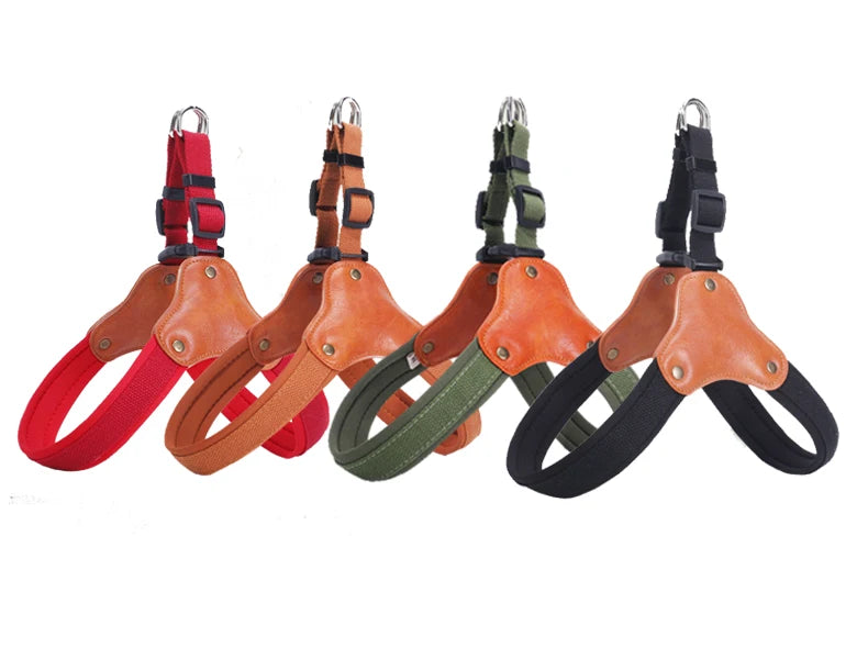 PawCommand Premium Outdoor Harness Set
