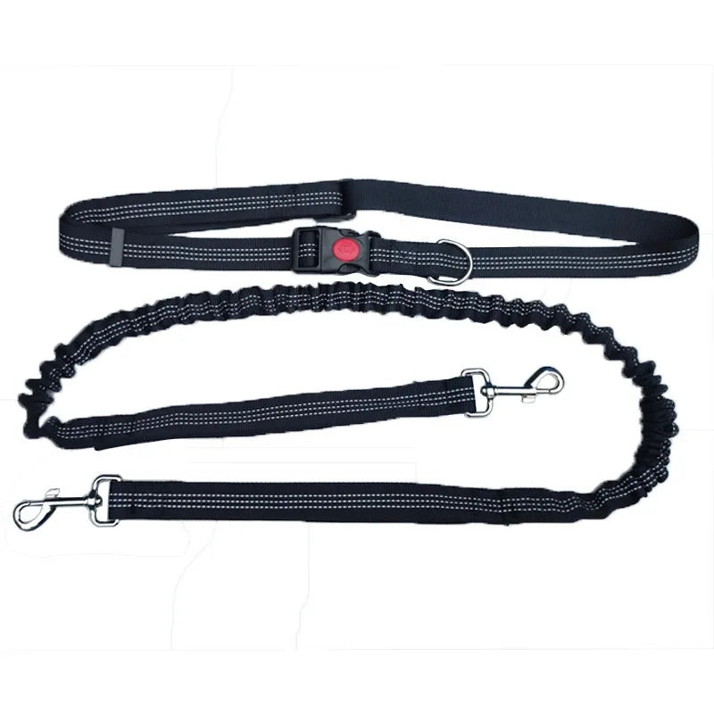 Handsfree Hondenriem met Heupgordel – Verstelbare Polyester Riem
