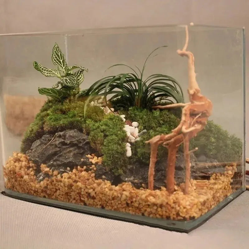 Aquarium decoratie