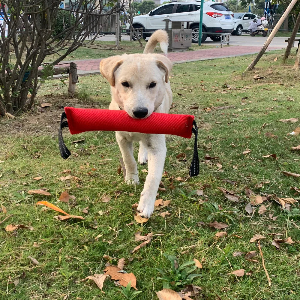 PowerPlay Honden Bijtstok