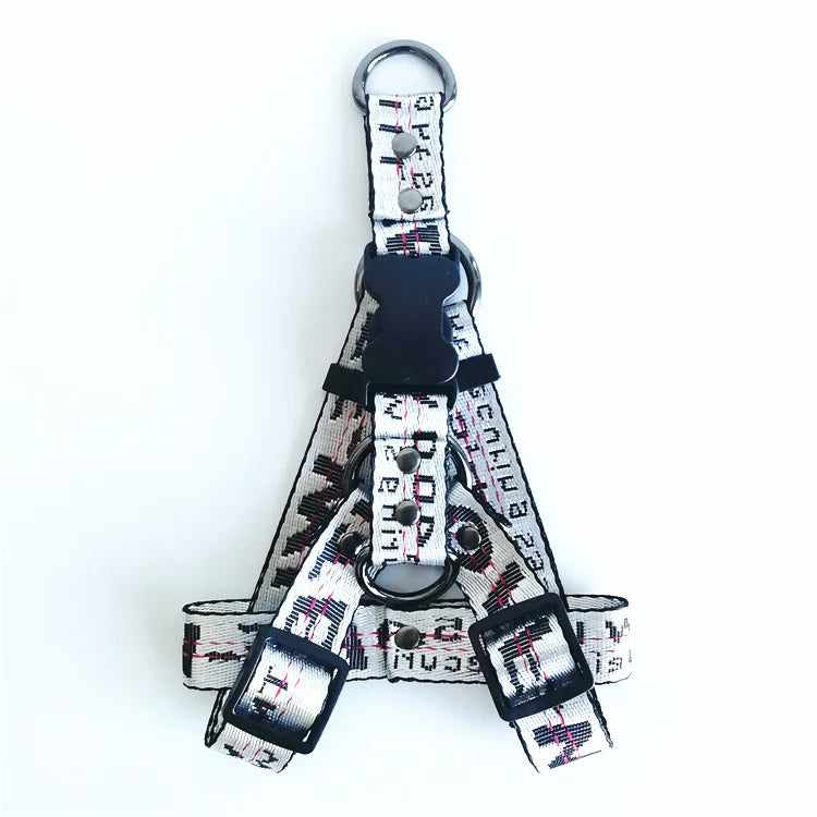 LuxPup Gouden Hondenhalsband & Lijn Set