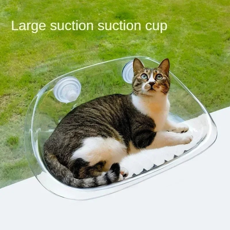 Drijvend kattenhangmatnest
